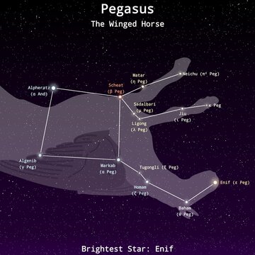 Pegasus Constellation Map with Named Stars &ndash; Constellation Map Illustration