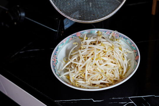 Blanched Bean Sprouts in Bowl Prepared for Home Cooking