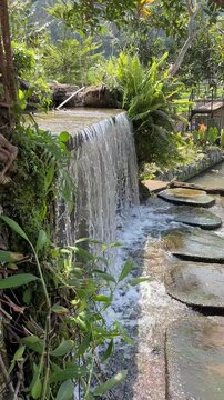 small waterfall in the forest