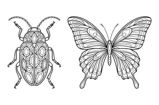 Ornamental retro style engraved line drawing of a patterned beetle and butterfly