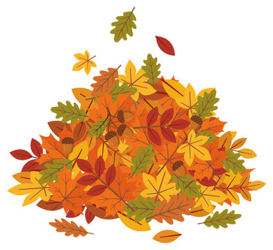 Pile of fallen autumn leaves and acorns in cartoon style.