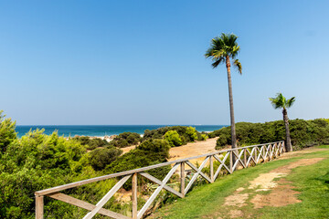 Sand dunes in front of La Barrosa beach in Sancti Petri, Chiclana de la Frontera, Cadiz, Spain © josevgluis