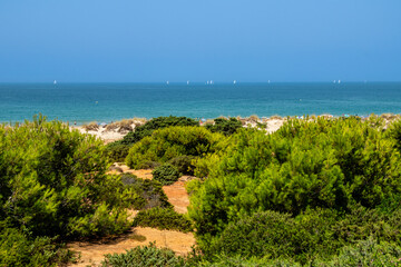 Sand dunes in front of La Barrosa beach in Sancti Petri, Chiclana de la Frontera, Cadiz, Spain © josevgluis