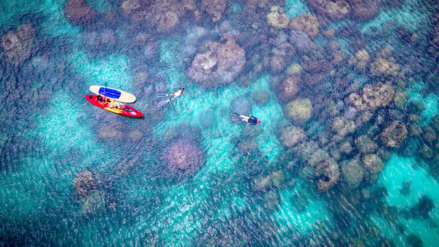 Top aerial view of Group of tourist are enjoy on water sport paddle sup-board with kayaking along at the edge of the sea beach under crystal clear of water in the island of summer trip