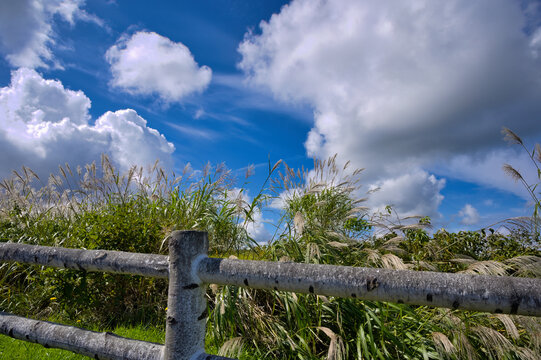 木地ひき高原の秋空
