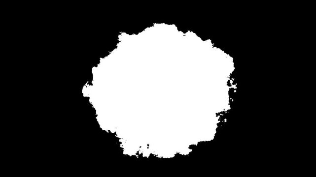 Beautiful white watercolor ink drops transition on black background, Ink Splatters On White Background. Black ink in water. abstract paint brush stroke shape white ink splattering flowing and washing.