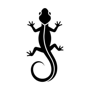 salamander glyph icon