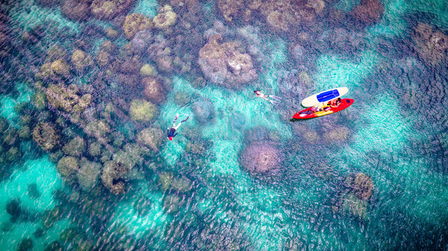 Top aerial view of Group of tourist are enjoy on water sport paddle sup-board with kayaking along at the edge of the sea beach under crystal clear of water in the island of summer trip