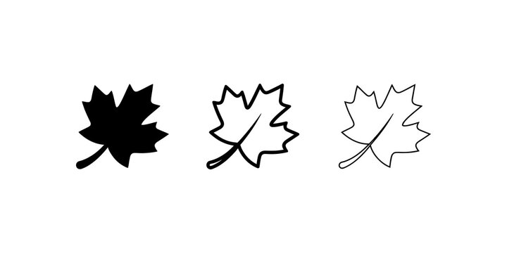 Maple leaf outline and silhouette icons representing autumn season use.