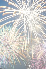 Obraz premium Colorful fireworks lighting up the night sky at summer festival