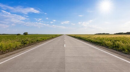Fototapeta premium A straight asphalt road stretching through a green summer field under a bright blue sky.