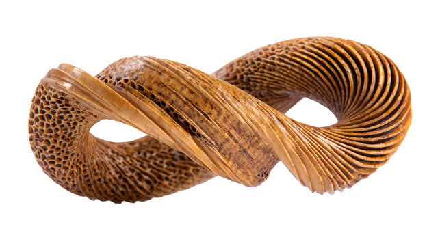 Wooden sculpture of honeybee proboscis extension