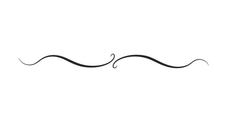 Fototapeta premium Delicate calligraphic text divider with elegant swirling lines for books, invitations, or wedding designs.