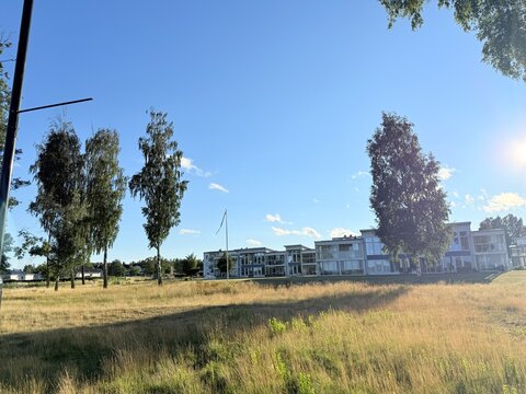 Peaceful lakeside view with big tree, blue sky, duck and sun shine