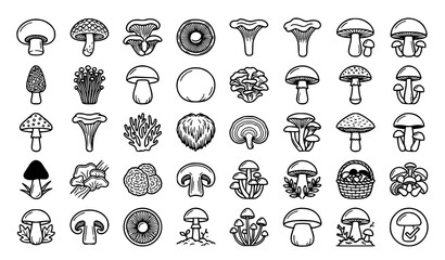Naklejka premium Mushroom Varieties Edible Fungi Botanical Outline Editable Vector Icons
