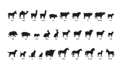 Naklejka premium Domestic Animals Silhouette Vector Collection Farm Livestock Pet Animal Shapes