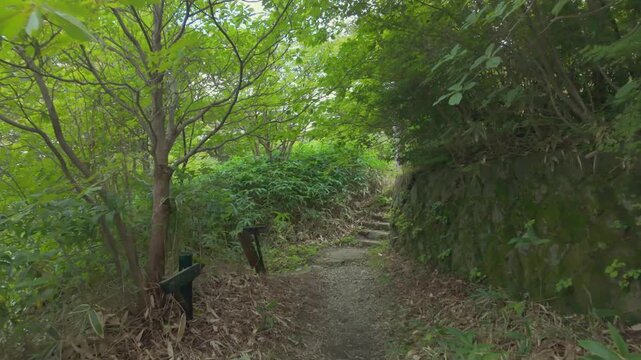 POV walking up stone steps on a lush green forest path leading to Nasu Onsen Shrine, Japan (Japanese text on the signboard translates to "Authorized personnel only")