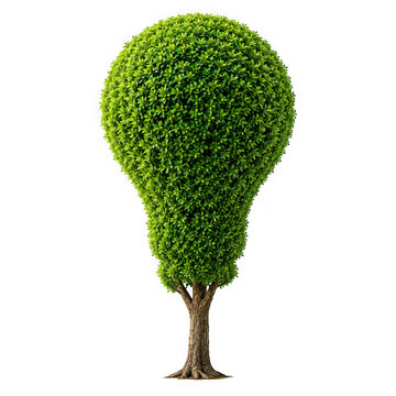 A creative tree shaped like a light bulb isolated on transparent background