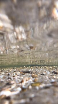 Underwater View of Riverbed Pebbles in Clear Freshwater Stream