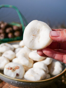 Freshly Peeled Water Chestnuts from Guangxi Farmers Market - Hand Holding White Horseshoe Fruit