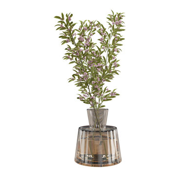 Elegant leafy flowering branches with small white blossoms arranged in glass vase, isolated, creating a natural botanical accent charming detail to the home interior decor, weddings, and design.