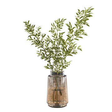 Elegant leafy flowering branches with small white blossoms arranged in glass vase, isolated, creating a natural botanical accent charming detail to the home interior decor, weddings, and design.