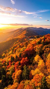 Golden autumn light bathes a mountain range covered in vibrant fall foliage.