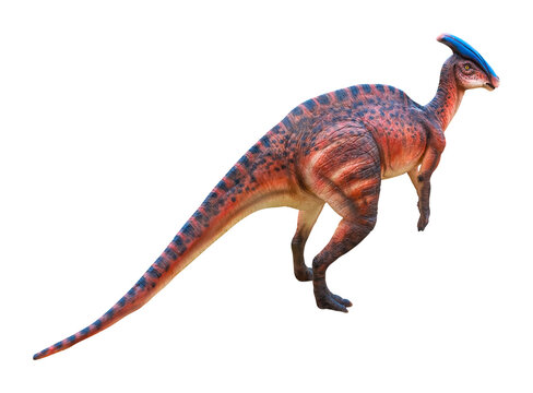 Olorotitan is a genus of lambeosaurine hadrosaurid dinosaur from the Late Cretaceous period. Belonging to the family Hadrosauridae, it was a large herbivorous reptile found in Far Eastern Russia.