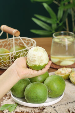 Fresh Guilin Monk Fruit Luo Han Guo Natural Sweetener Chinese Traditional Medicine Studio Photography