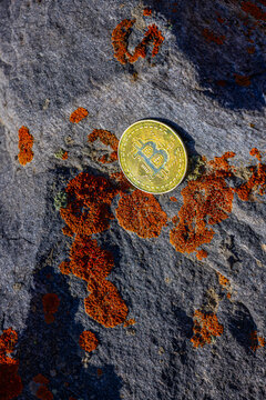 Gold Cryptocurrency Coin on Lichen-Covered Rock