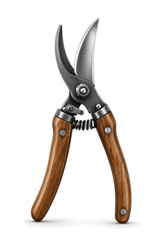 Garden pruning shears secateurs isolated on white	