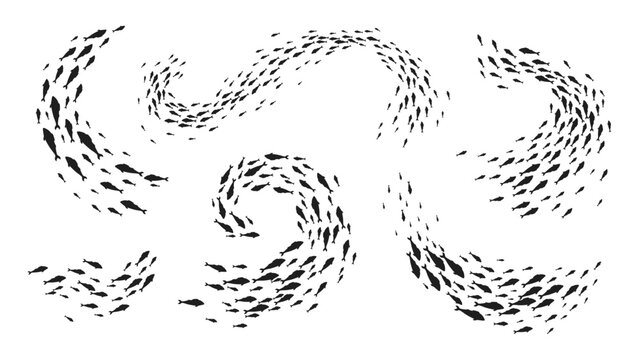 Fish school and shoal silhouettes. Ocean marine and underwater life, sea nature and ecology, seafood and fishing industry background with tuna or salmon fish school, shoals waves and lines set
