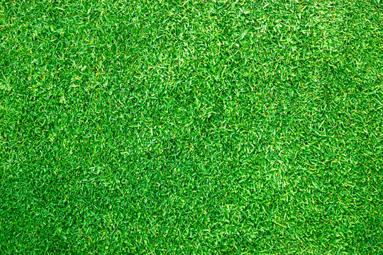 grass background Golf Courses green