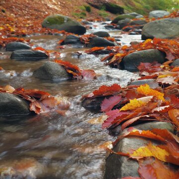 秋の渓流と落ち葉 シームレスループ動画背景 1:1 4K