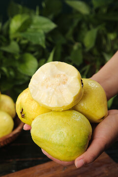 Fresh Guava Fruit from Guangxi China Showing Creamy Heart-Shaped Interior in Hands