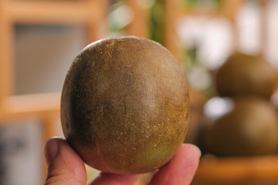 Luo Han Guo Monk Fruit from Guilin Yongfu China - Fresh Golden Seasonal Fruit in Hand