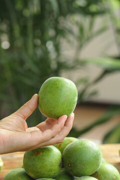 Fresh Luo Han Guo Monk Fruit from Guangxi China - Traditional Chinese Herbal Medicine Tea Ingredient