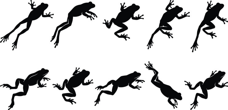 Tree frog silhouette vector icon set featuring black dynamic silhouettes of amphibians jumping, climbing, crawling, and swimming for nature wildlife education illustration projects.
