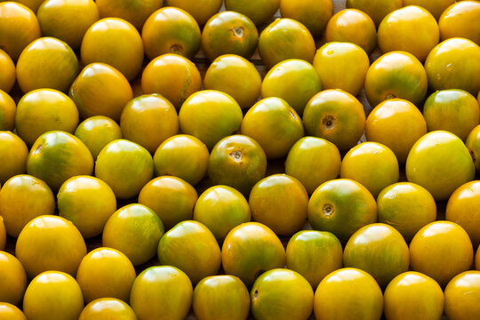 Green grape cherry tomatoes, full-frame background texture. Ripe, homegrown, organic green heirloom tomatoes with backlit natural window light.