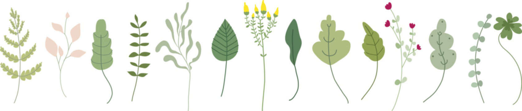 Cartoon floral set of green leaves, branches, twigs, wild meadow flowers. Botanical greenery herbarium. Isolated clip art.