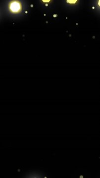 Animation of christmas fairy lights flickering with copy space on black background
