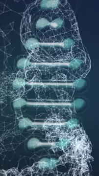DNA structure spinning against blue background