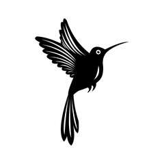 Fototapeta premium honey bird