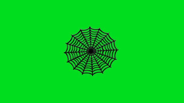 A circular spider web illustration isolated on a solid bright green background