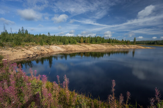 Scenic view of Oderteich reservoir in Harz National Park Germany