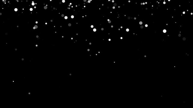 white dust particle burst seamless 4k loop. glittering dust floating with bright star bursts with bokeh flowing falling down, luxury abstract overlay on black background.