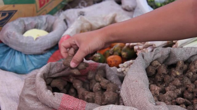 Person Selecting Fresh Ginger Root from Burlap Sack at Market