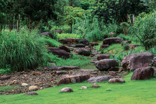 Lush Tropical Garden Landscape with Rocks and Greenery