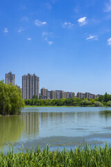 Fototapeta premium Modern Residential Skyline Across a Lakeside Park Under Blue Sky