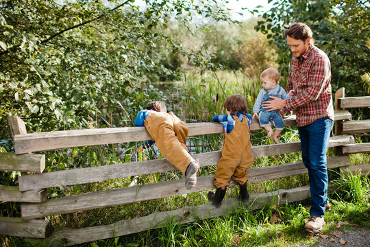 Father and three sons exploring by a wooden fence